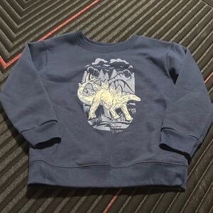Kids Dinosaur Graphic Sweatshirt - Blue